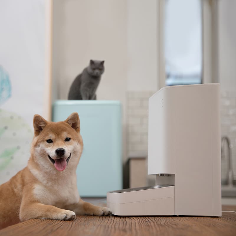 راهنمای راه اندازی دستگاه ظرف هوشمند سگ و گربه هوشمند شیائومی